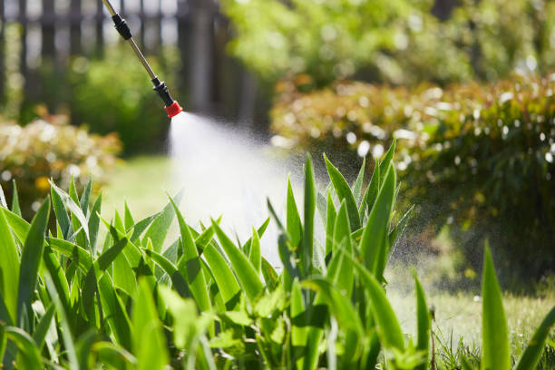 Tamper-Resistant Bait Stations for Rodents in Wabasso