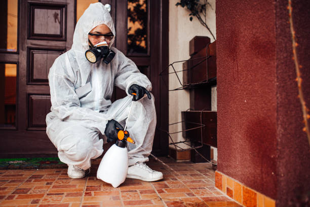 Attic and Crawl Space Rodent Treatment in Wabasso